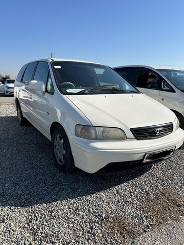 дополнительный свет: Honda Odyssey: 1999 г., 2.3 л, Автомат, Бензин, Вэн/Минивэн