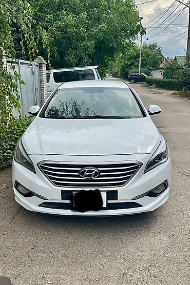 elantra 2016: Hyundai Sonata: 2016 г., 2 л, Автомат, Газ, Седан — 1