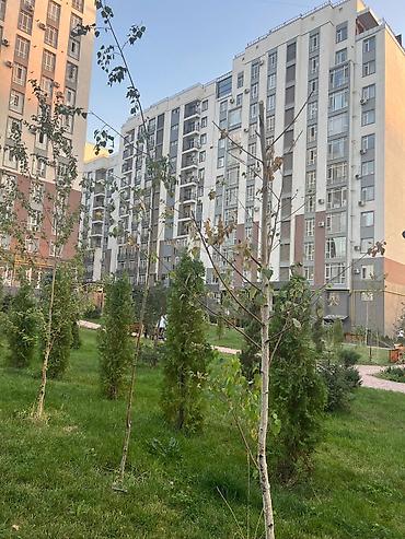 лестницы для дома в бишкеке цена: 1 комната, 44 м², Элитка, 12 этаж, ПСО (под самоотделку) — 2