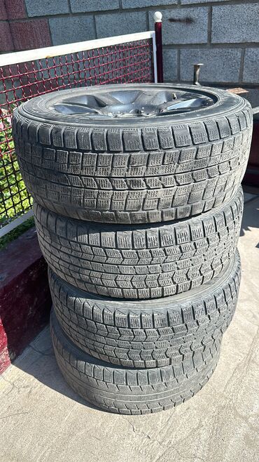 15 шины: Шиналар 215 / 55 / R 16, Кыш, Колдонулган, Комплект, Жеңил унаалар, Dunlop