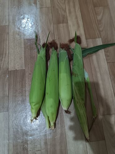Мясная и рыбная продукция: Təzə qarğıdalı sübülələri, parlaq sarı dənələrə və yaşıl qabığa