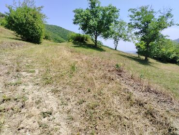 Torpaq sahələrinin satışı: Tikinti — 23