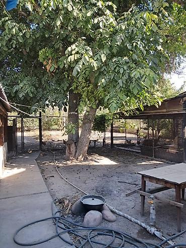 Продажа коттеджей и домов: Продаётся чудесный, тёплый и уютный дом! Участок — 10 соток — 10