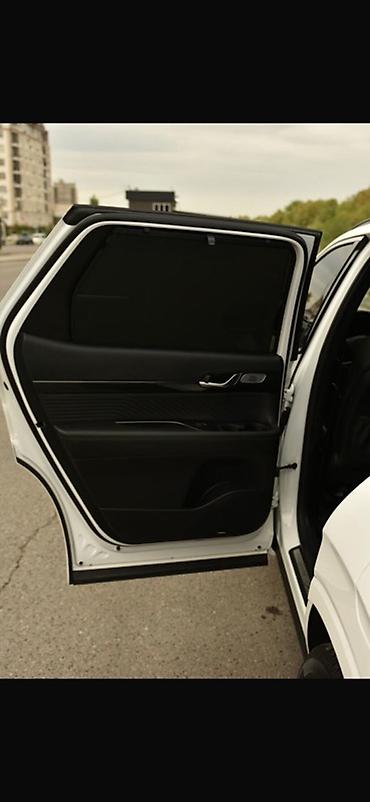 молдинг соната: Hyundai Palisade: 2023 г., 3.8 л, Типтроник, Бензин, Кроссовер — 2