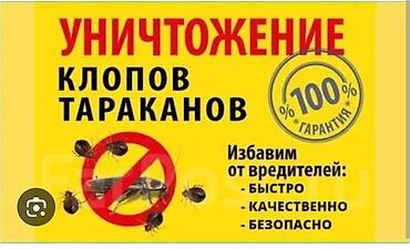 келемиш: Дезинфекциялоо, дезинсекциялоо, | Таракандар, Кумурскалар, Вирустар, микробдор, | Батирлер — 2