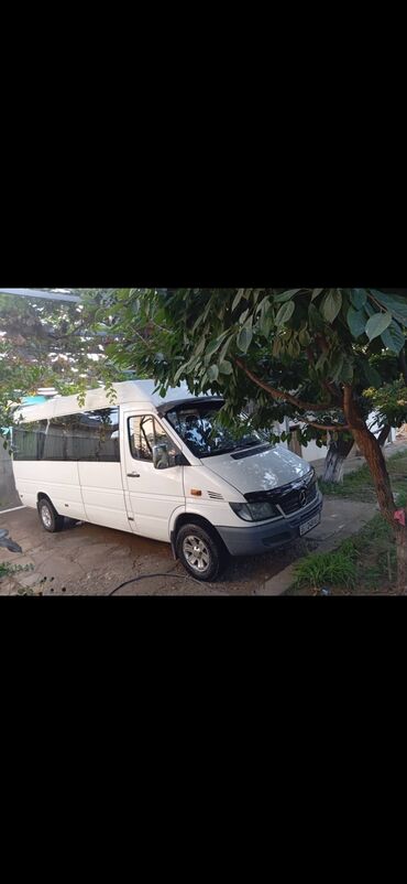 спринтер 5000: Mercedes-Benz Sprinter Classic: 2005 г., 2.2 л, Механика, Дизель, Бус