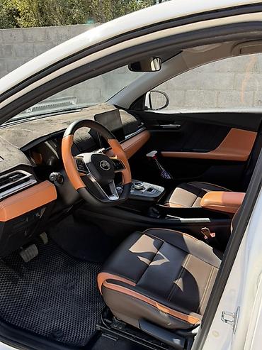 спойдер: BYD E2: 2021 г., Автомат, Электромобиль, Кроссовер — 7