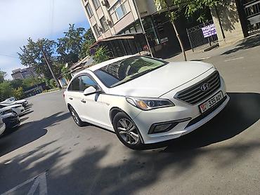 шторка соната: Hyundai Sonata: 2017 г., 2 л, Автомат, Газ, Седан — 1