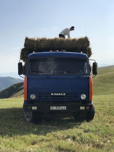 грузовые техники: Грузовик, Камаз, Б/у