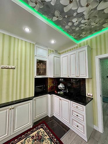110: 2 комнаты, 84 м², Кок-Жар ж/м Элитка, 7 этаж — 3