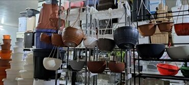 Digər gözəllik və sağlamlıq xidmətləri: Dibcek ucun hasar ceper gul ucun ceper hasar dibcekler ucun hasar -da lalafo.az — 13 Digər gözəllik və sağlamlıq xidmətləri: Dibcek ucun hasar ceper gul ucun ceper hasar dibcekler ucun hasar — 13