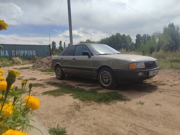 Audi: Audi 80: 1989 г., 2 л, Механика, Бензин, Седан