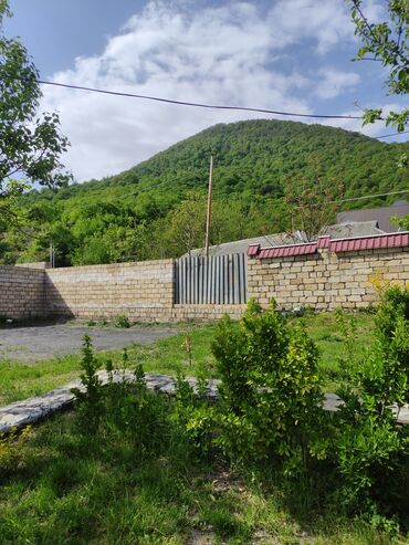 Torpaq sahələrinin satışı: 280 sot, Tikinti, Mülkiyyətçi, Kupça (Çıxarış)