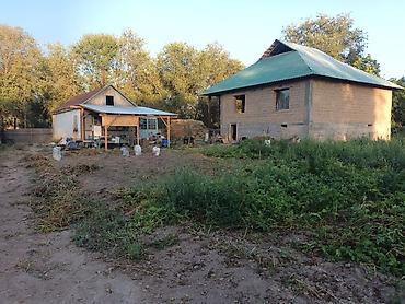 Продажа коттеджей и домов: Продаётся дом село Полтавке в одном участке два дома 1ый дом полтора — 23