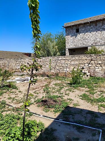 9 mikrarayon: 9 sot, Tikinti, Makler, Kupça (Çıxarış) — 2
