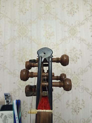 Тар: Məhsul: Tar (Azərbaycan milli simli musiqi aləti) – futlyarla Irandan — 4