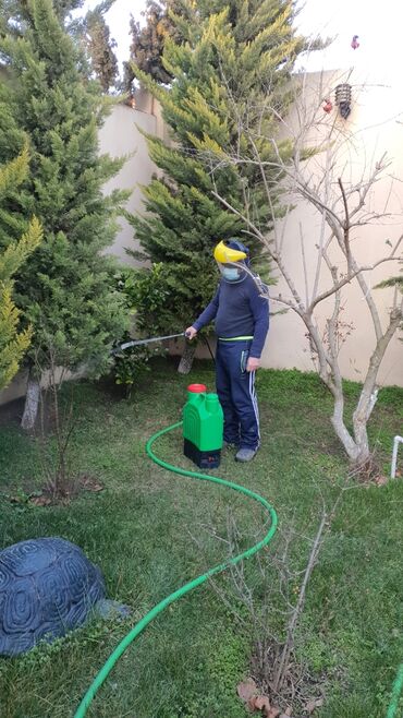 ağacların dərmanlanması v Azərbaycan | Bitki kökləri: Xidmətlərimiz ixtisaslı aqronomların rəhbərliyi ilə həyata keçirilir