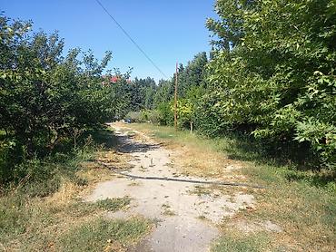 şamaxı ev satışı: Novxanı, 440 kv. m, 6 otaqlı, Hovuzsuz, İnternet, Telefon, Qaz — 4