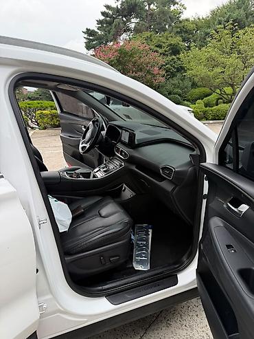 хендлер: Hyundai Santa Fe: 2020 г., 2.2 л, Автомат, Дизель, Кроссовер — 10