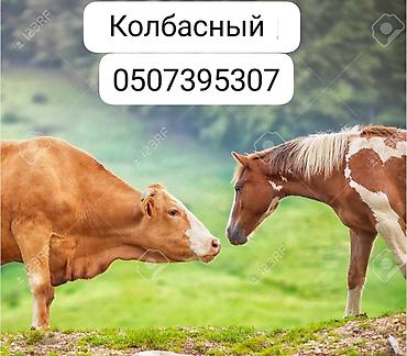 спецодежда рабочая: Колбасный конь. Оригинальный товар с необычным и запоминающимся — 1