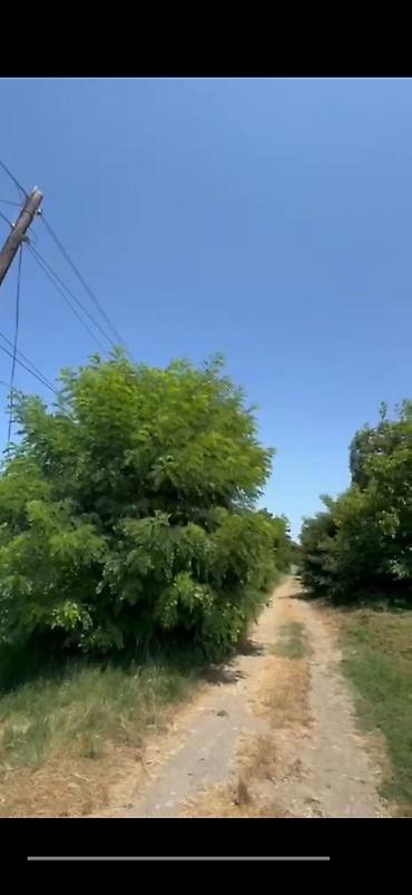 bakida tecili satilan ucuz heyet evleri: Xudat, 28 kv. m, 1 otaqlı, Hovuzsuz, Qaz, Su, İşıq — 3