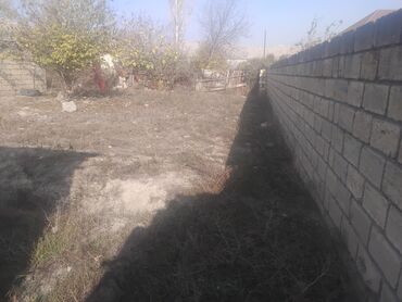 Torpaq sahələrinin satışı: Mülkiyyətçi, Kupça (Çıxarış) — 9