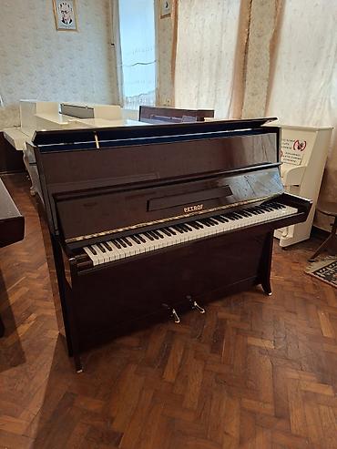 Piano, Petrof, Akustik, Yeni, Pulsuz çatdırılma lalafo.az -da Piano, Petrof, Akustik, Yeni, Pulsuz çatdırılma
