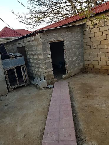 Həyət evi alıram: 2 kv. m, 3 otaqlı, İşıq — 7