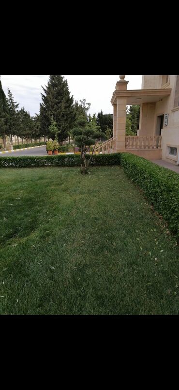 Bağbanlar: Bağban, 44 yaş, 5 ildən artıq təcrübə — 9