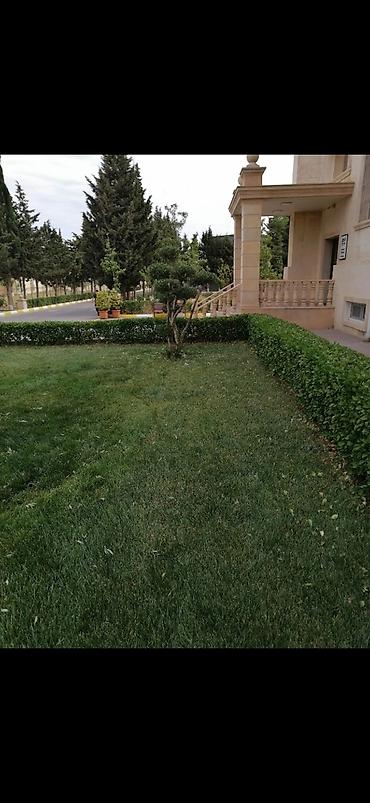 garden: Təmizlik | Həyətlər | Ümumi təmizlik — 3