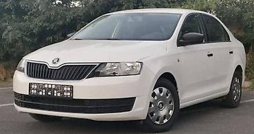 din 2950: VRATA KRILA HAUBE ITD ZA ŠKODA RAPID OD 2012. DO 2018. GOD. | SKODA — 1