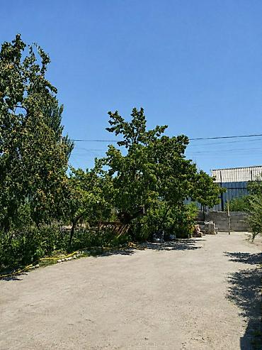 глоба: Продаётся просторный дом с большим участком в городе Каракол Адрес — 9