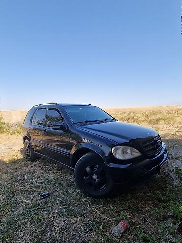 мерс mers: Mercedes-Benz ML-Class: 2002 г., 3.2 л, Автомат, Бензин, Внедорожник — 5