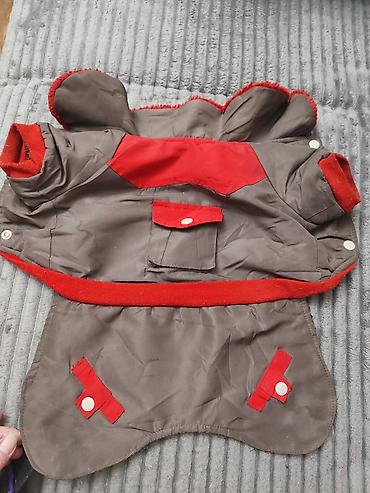 Зоотовары: Тёплая одежда, (две модели),маечки для Йорка 1) Комбинезон/пальто — 1