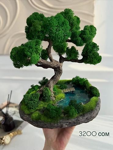Декоративные цветы: Деревья-бонсай из натурального стабилизированного мха🌳 -это — 99