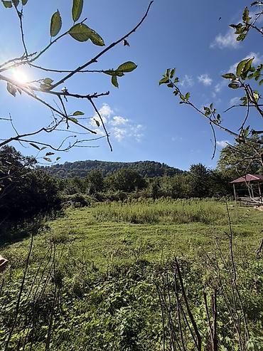 ecemide ipoteka ile satilan evler: 3 sot, Tikinti, Mülkiyyətçi, Kupça (Çıxarış) — 5