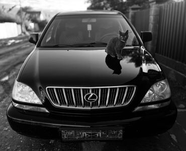 аксессуары на автомобиль: Lexus RX: 2002 г., 3 л, Автомат, Газ, Кроссовер