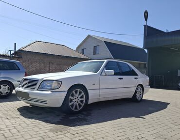 Mercedes-Benz: Mercedes-Benz S-Class: 1993 г., 4.2 л, Автомат, Газ, Седан