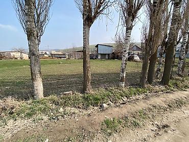 Продажа участков: 5 соток, Для строительства, Красная книга at lalafo.kg — 2 Продажа участков: 5 соток, Для строительства, Красная книга — 2