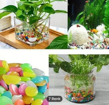 Akvarium aksessuar və ləvazimatları: Salam. Akvarium ləvazimatları satılır. Təzə vəziyyətdədir. Heç — 14