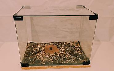 xiaomi akvarium: Hazır Zavod Akvariumu Uzunluq -55sm.Eni-36sm.Hündürlük-40sm.Tutum-79.2 — 1