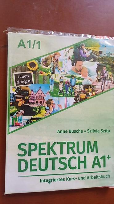 Учебники по иностранным языкам (набор) 1) Spektrum Deutsch A1+ (A1/1)
