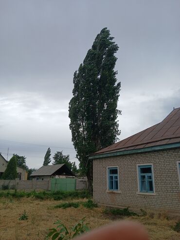 купить печь для бани бу: Отун Терек, Өзү алып кетүү
