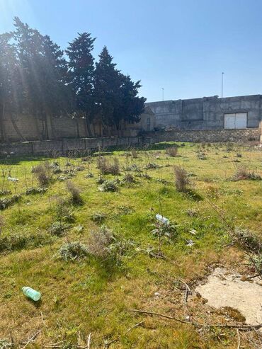 Torpaq sahələrinin satışı: 10 sot, Tikinti, Makler, Kupça (Çıxarış) — 6