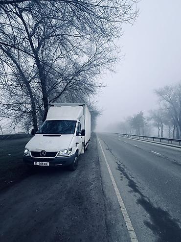 80 б4: Mercedes-Benz Спринтер: 2001 г., 2.7 л, Механика, Дизель, Бус — 3