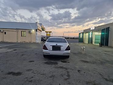 kamaz diski: Nissan Teana – geniş və komfortlu sedan İl 2007 Mator 2.3 V6 Yanacaq — 5