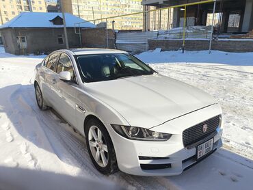 сюрф машина: Jaguar XE: 2016 г., 2 л, Автомат, Дизель, Седан