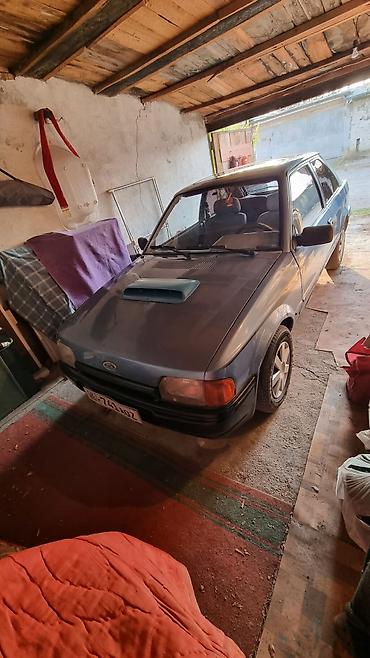 э 2: Ford Escort: 1986 г., 1.6 л, Механика, Бензин, Хэтчбэк — 1