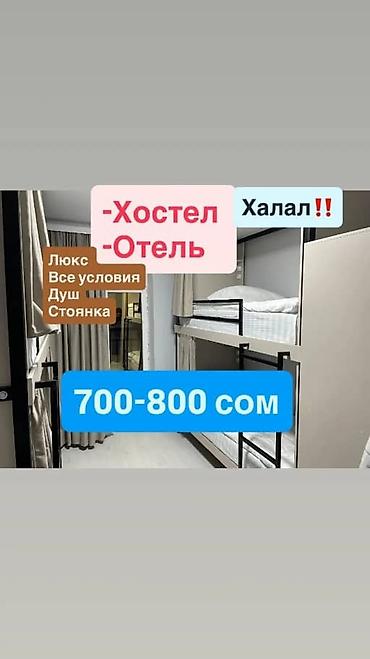 Хостелы: Хостел/мини-отель с халяль-форматом проживания. Номера: - 2-, 3- и — 1