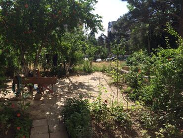 Köhnə tikili: Bakı, 3 otaqlı, Köhnə tikili, 75 kv. m — 9